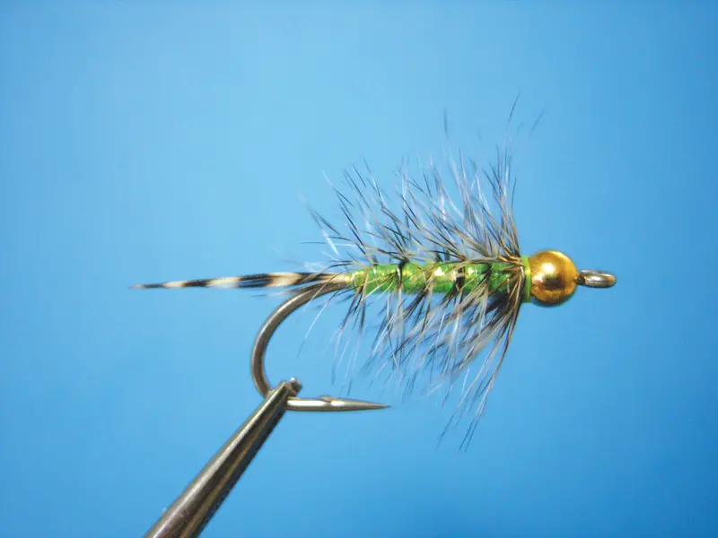 Dragonfly Bead Head California Neil – Chartreuse, Size 8