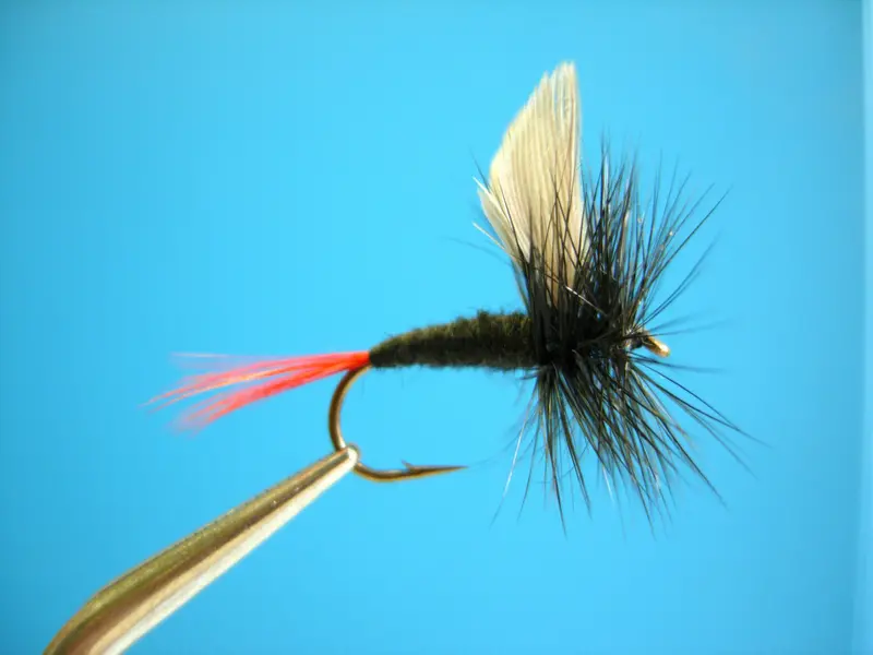Dragonfly Black Gnat Dry Fly