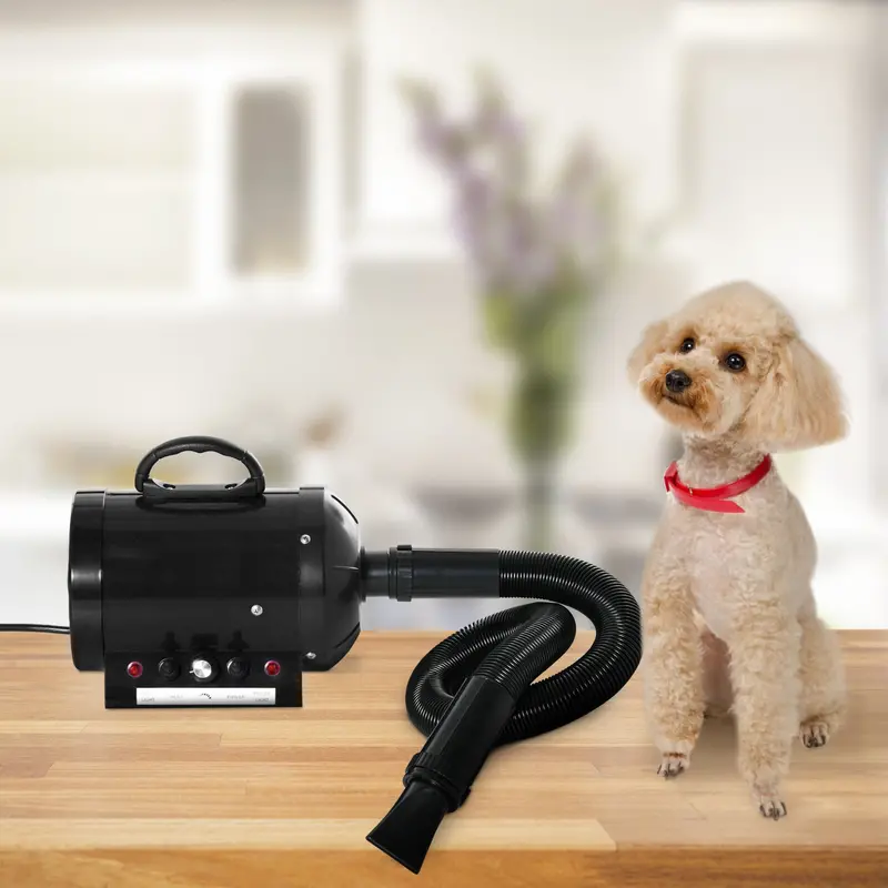 PawHut 2800W Professional Pet Grooming Dryer – 3-Attachment Hairdryer (Black)