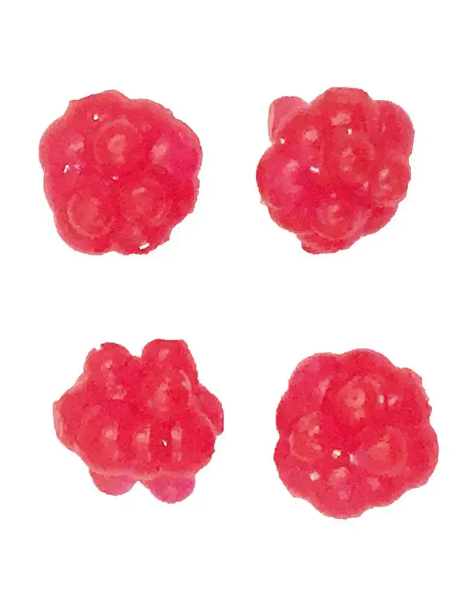 Western Fishing Operations Egg Cluster – Traditional Roe Tone